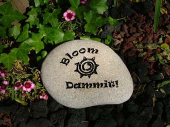 BloomDammit2