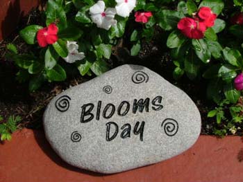 BloomsDay