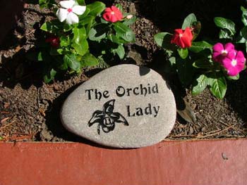 TheOrchidLady