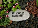 BloomDammit