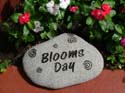 BloomsDay
