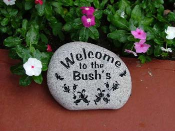 TheBush's