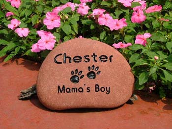Chester