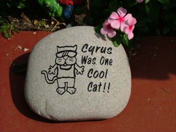 CyrusCoolCat
