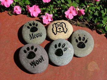 Dog-Cat Rocks