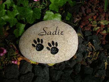 DogNamePaws