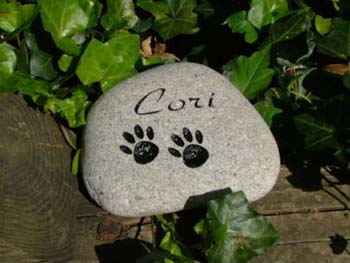 DogNamePaws2