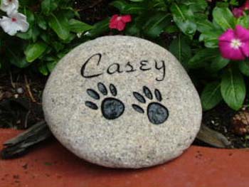 DogPaws2