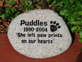 Puddles