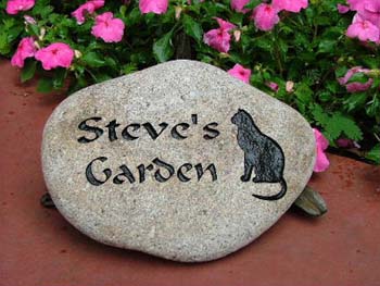 Steve'sGarden