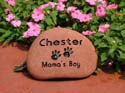 Chester
