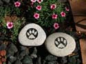 Dog-Cat-Paws