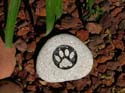 DogPaw