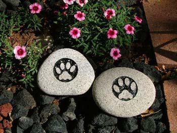 Dog-Cat-Paws
