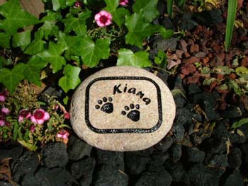 DogNamePawsBorder