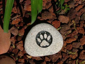 DogPaw
