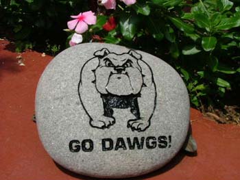 GoDawgs