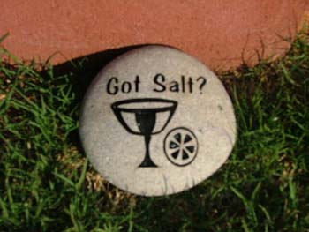 GotSalt
