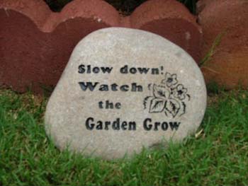 SlowDownWatchGarden