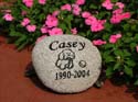 Casey
