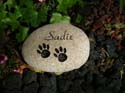 DogNamePaws