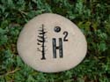 H2