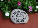 TheBush's