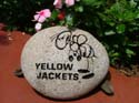 YellowJackets