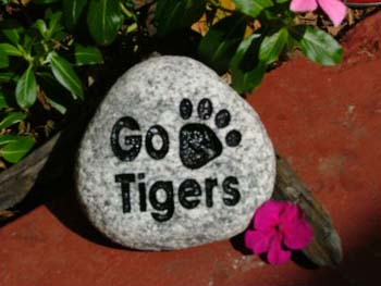 Go Tigers