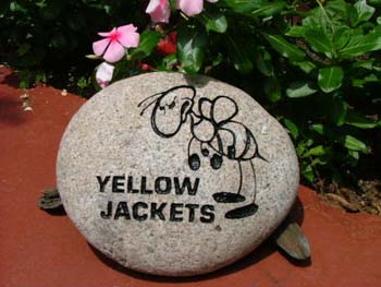 YellowJackets