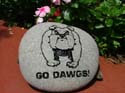 GoDawgs
