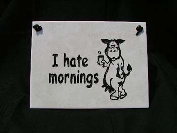 I Hate Mornings