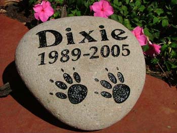 Dixie - Large